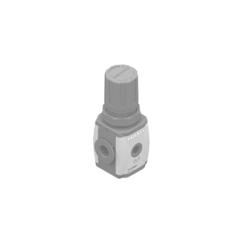 PRESSURE REGULATORS FOR MANIFOLD