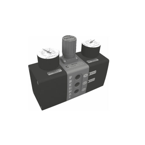 PRESSURE BOOSTER, P+ SERIES