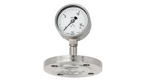 Diaphragm Seal Systems