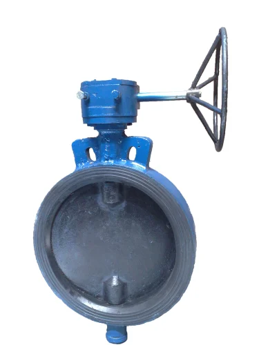 C.I. Butter Fly Valve With Gear Operated