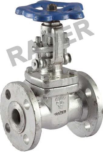 S.S. Gate Valve, Flange End
