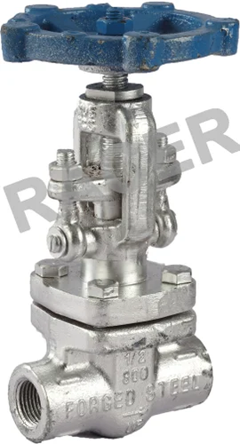 S.S. Gate Valve, Screw End