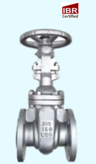 CAST CARBON STEEL GATE VALVE